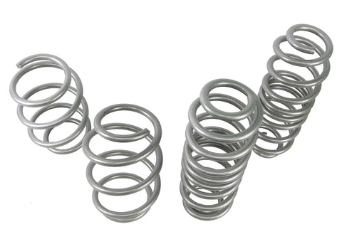 Lowering Spring Kit